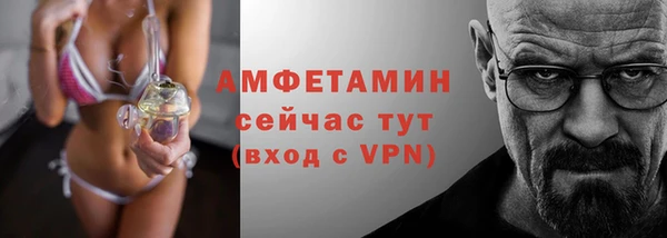 гидра Няндома