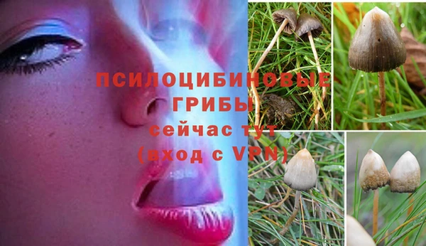 эйфоретик Алексин