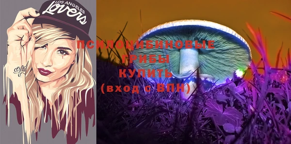 тгк Алзамай