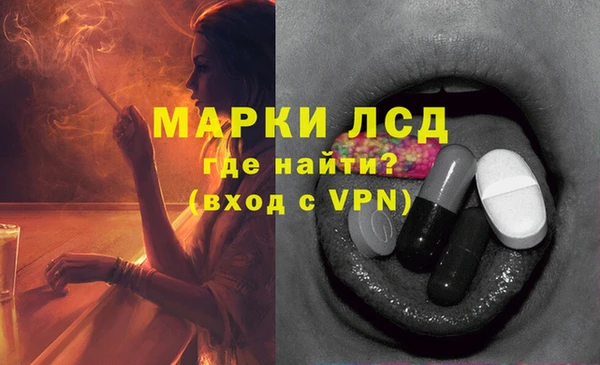 тгк Алзамай