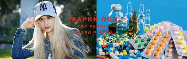 тгк Алзамай