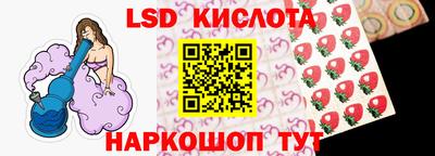 крисы Кингисепп
