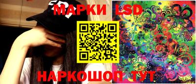 крисы Кингисепп