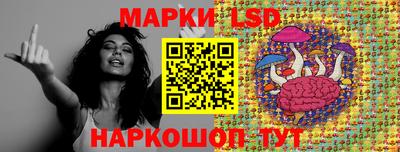 крисы Кингисепп