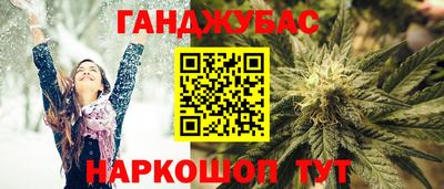 крисы Кингисепп