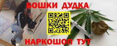 крисы Кингисепп