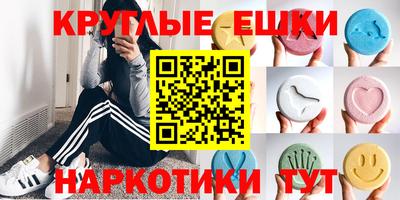 крисы Кингисепп