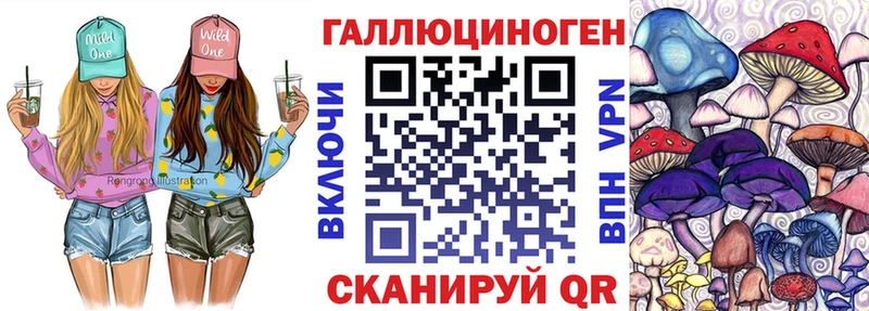Галлюциногенные грибы MAGIC MUSHROOMS  купить наркотики цена  Комсомольск-на-Амуре 